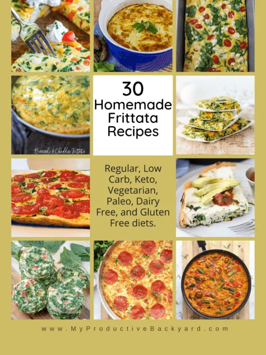 https://myproductivebackyard.com/wp-content/uploads/2022/05/30-Homemade-Frittata-Recipes-540x720.png.webp