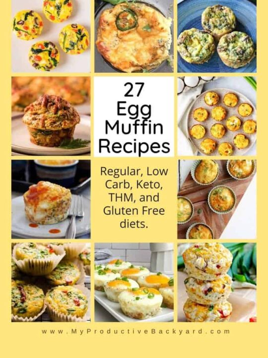 Egg Muffin Recipes