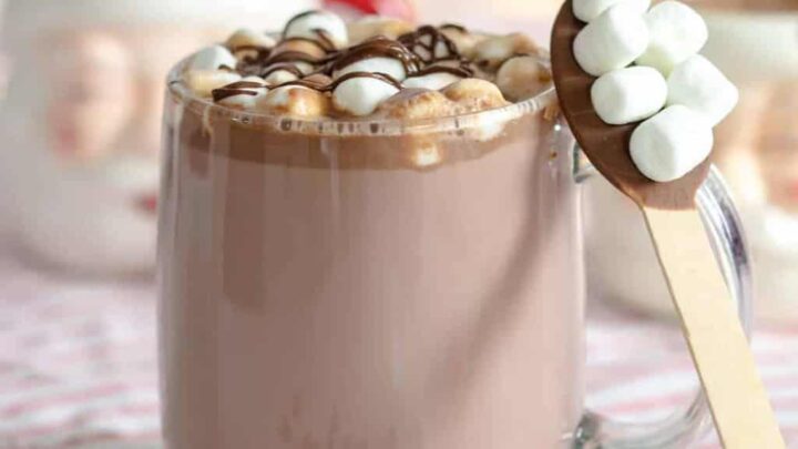 Image for Hot Chocolate With Chocolate Chips (No Cocoa Powder!)