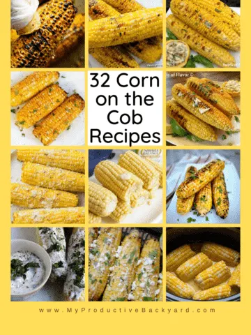 32 Corn on the Cob Recipes Pinterest Pin