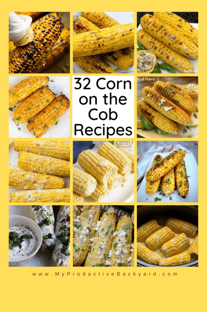 32 Corn on the Cob Recipes My Productive Backyard