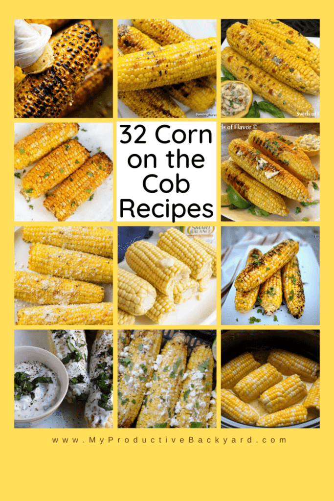 32 Corn on the Cob Recipes Pinterest Pin
