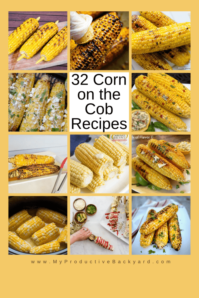 32 Corn on the Cob Recipes - My Productive Backyard