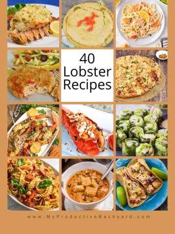 40 Lobster Recipes Pinterest pin