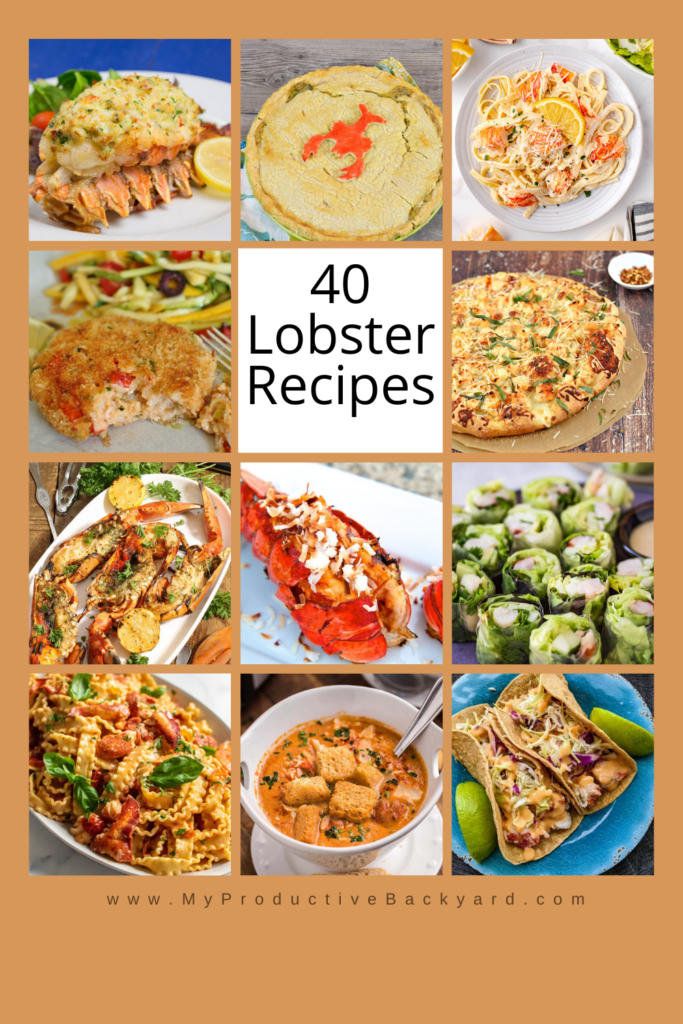 40 Lobster Recipes Pinterest pin