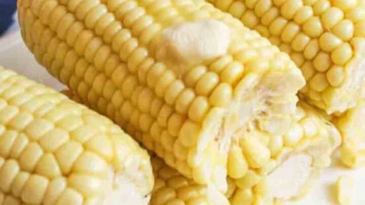 Steamed-Corn-on-Cob