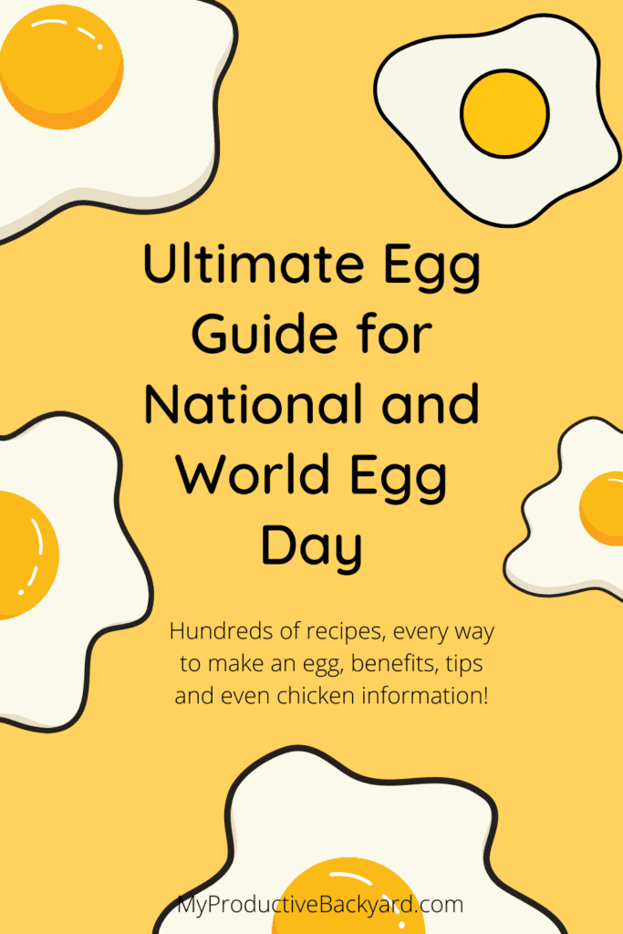 Ultimate Egg Guide for National and World Egg Day Pinterest Pin