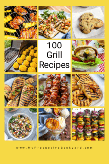100 Grill Recipes - My Productive Backyard