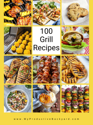 100 Grill Recipes Pinterest Pin