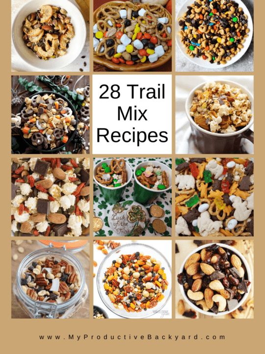 28 Trail Mix Recipes