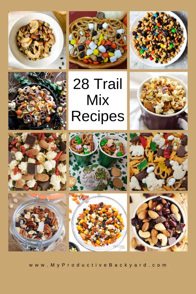 28 Trail Mix Recipes Pinterest pin