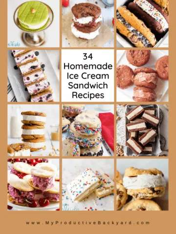 34 Homemade Ice Cream Sandwich Recipes Pinterest Pin
