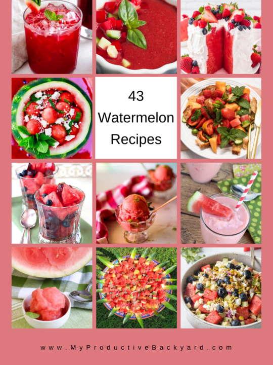 43 Watermelon Recipes