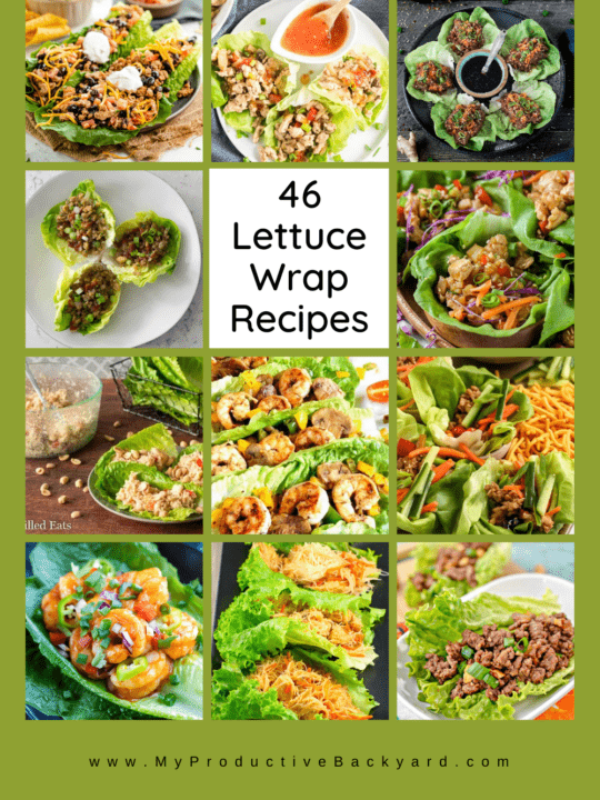 46 Lettuce Wrap Recipes