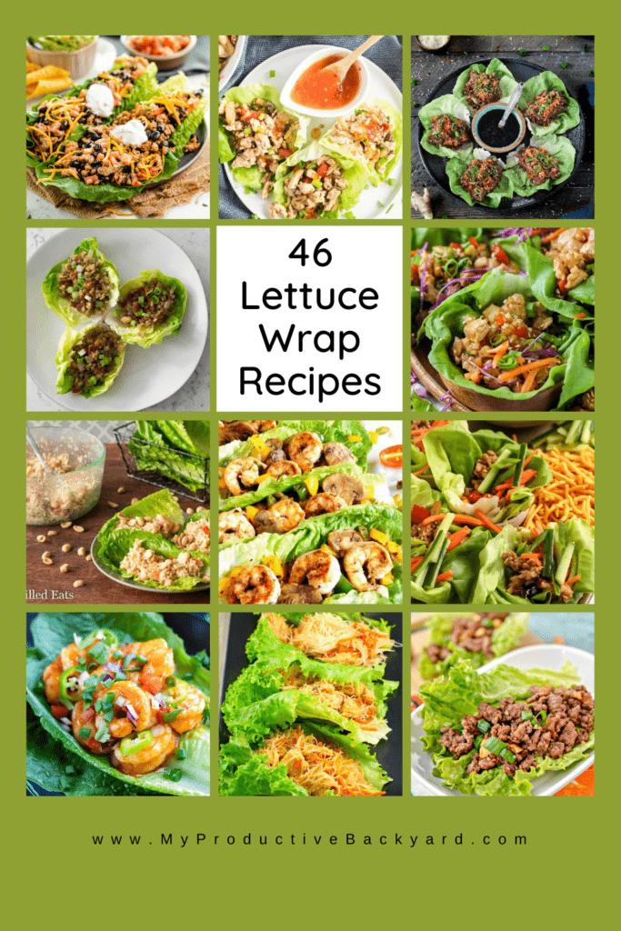 46 Lettuce Wrap Recipes Pinterest pin