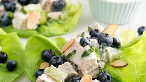 Image for Blueberry Basil Chicken Salad Lettuce Wraps