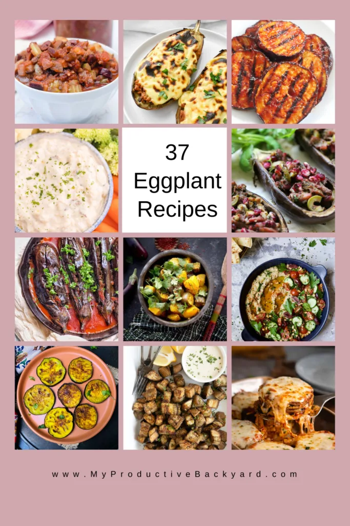 37 Eggplant Recipes Pinterest Pin