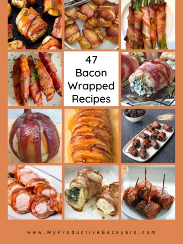 47 Bacon Wrapped Recipes Pinterest Pin