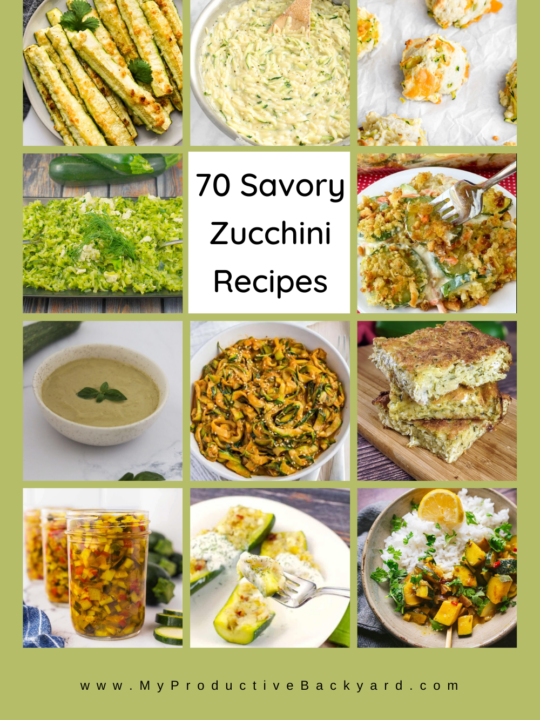 70 Savory Zucchini Recipes