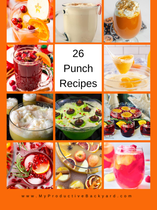 26 Punch Recipes