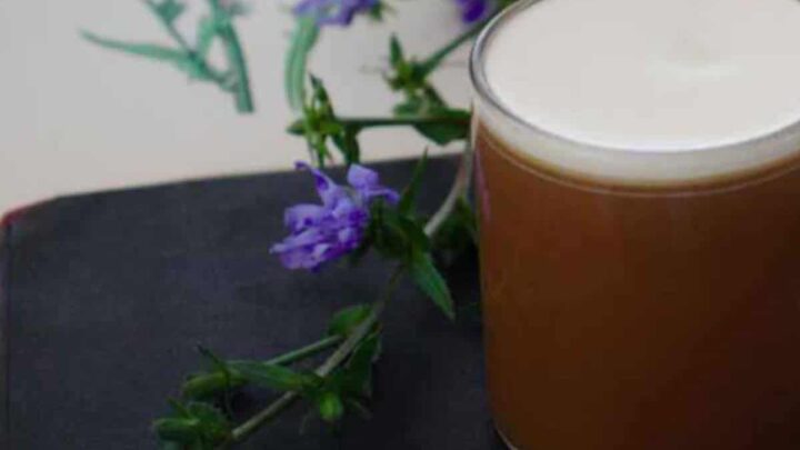 Image for How to make chicory coffee from scratch
