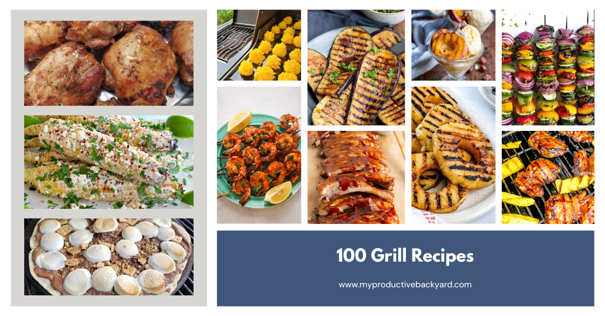 100 of the Best Grilling Recipes Ever