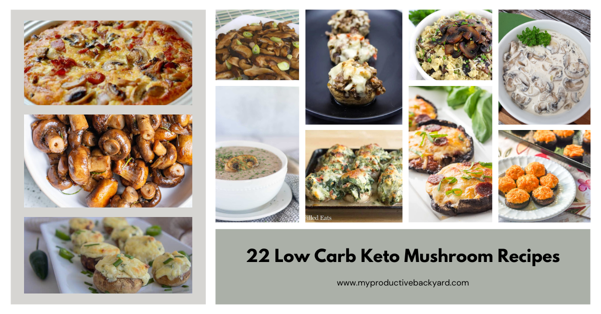 22 Low Carb Keto Mushroom Recipes - My Productive Backyard