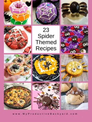 23 Spider Themed Recipes Pinterest Pin