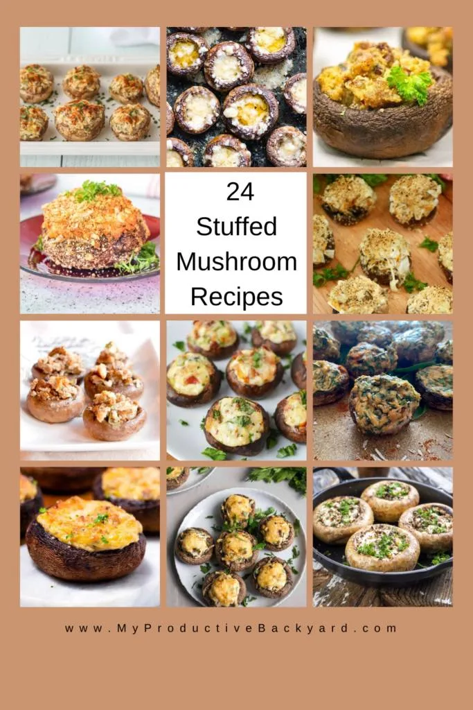 24 Stuffed Mushroom Recipes Pinterest Pin