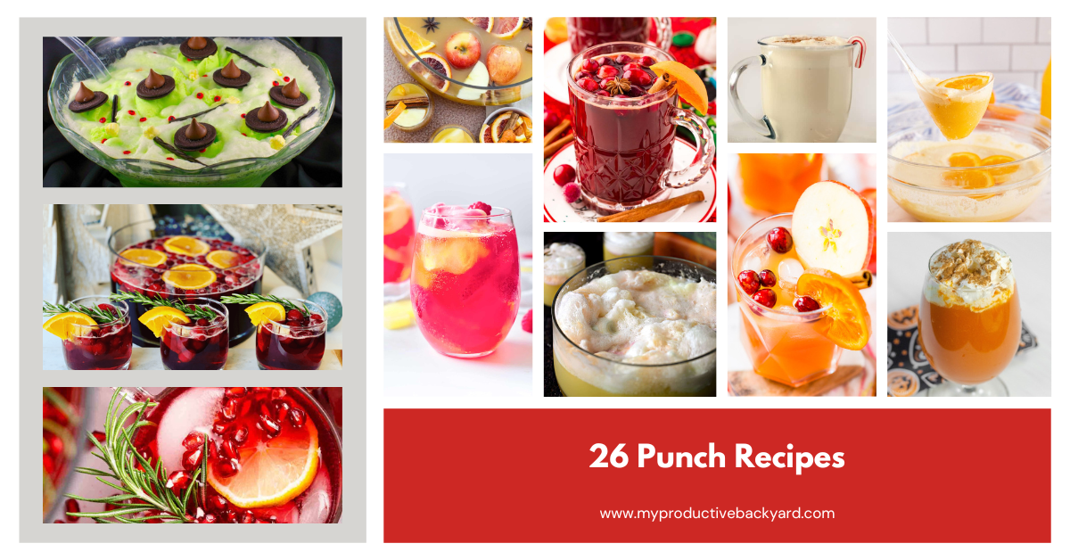 26 Punch Recipes My Productive Backyard   26 Punch Recipes Facebook Ad 