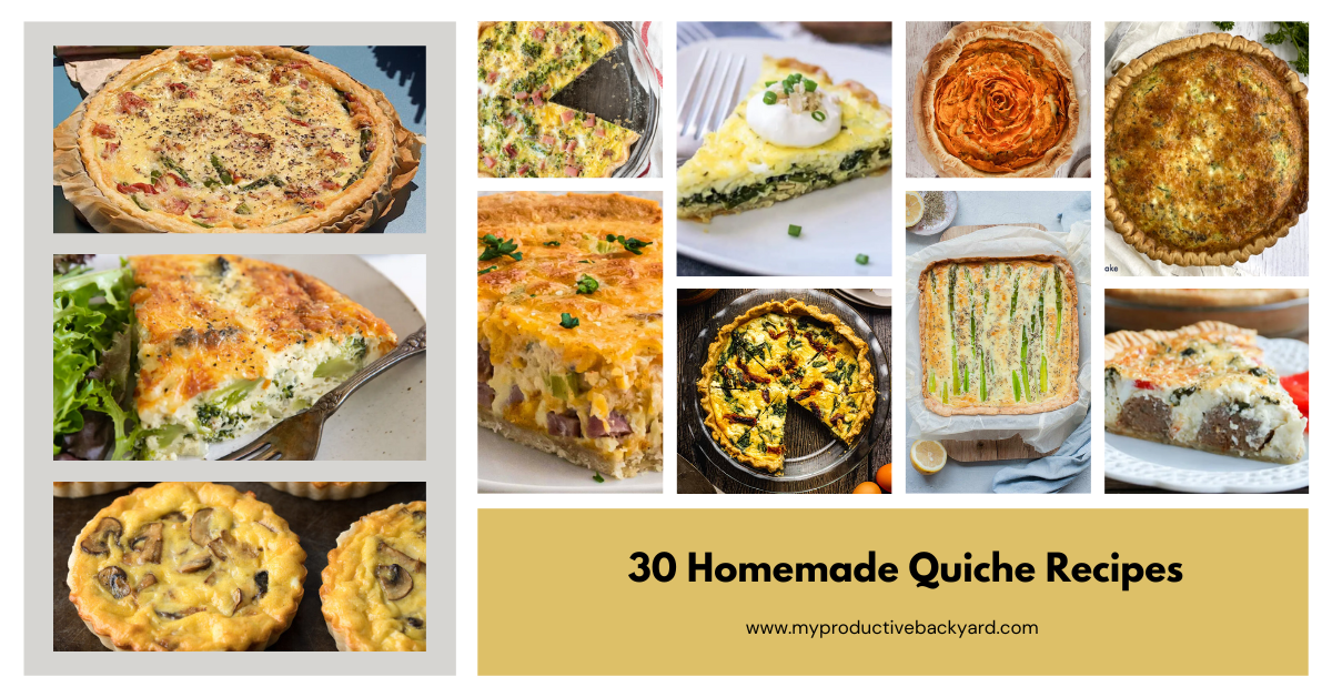 Homemade Quiche Recipes - My Productive Backyard
