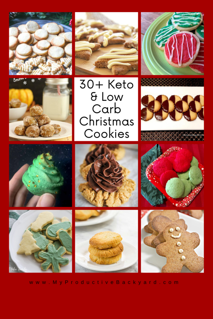 30+ Keto Low Carb Christmas Cookies Pinterest Pin