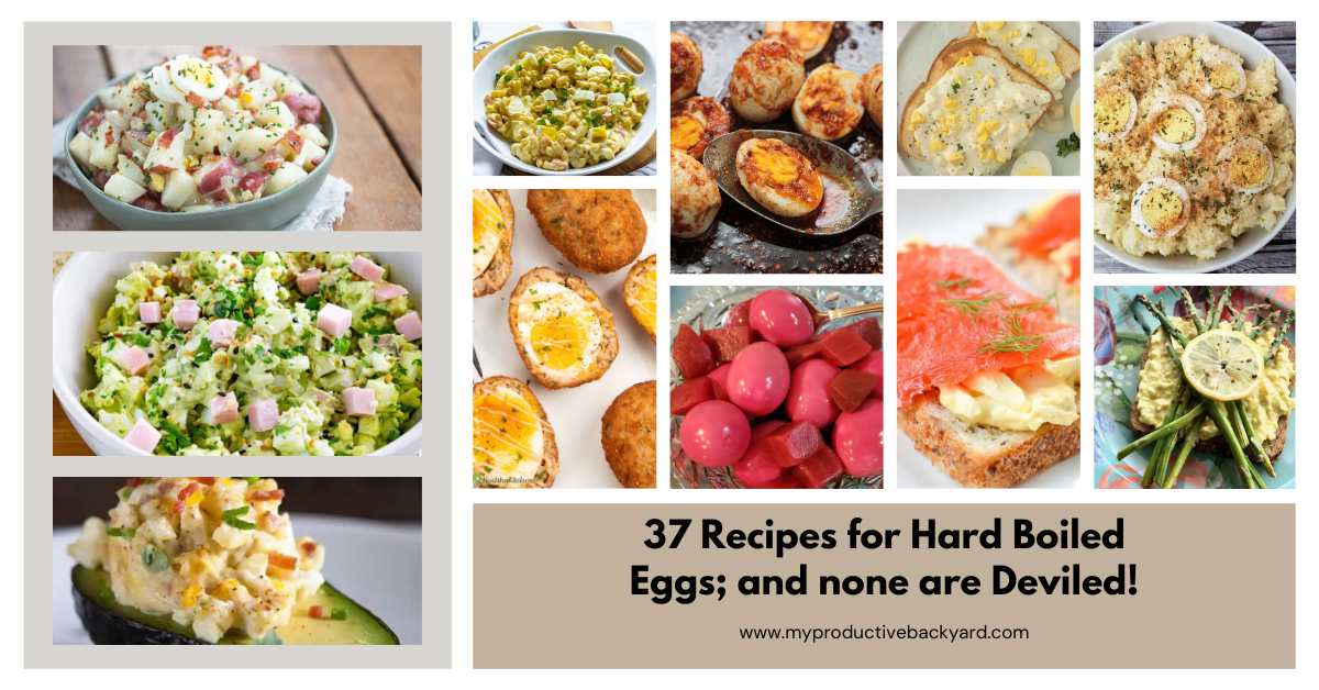 https://myproductivebackyard.com/wp-content/uploads/2022/10/37-Recipes-for-Hard-Boiled-Eggs-Facebook-ad.png