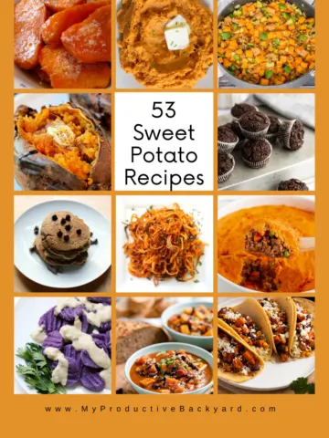 53 Sweet Potato Recipes Pinterest Pin