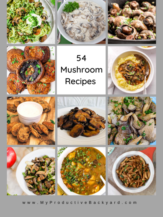 54 Mushroom Recipes