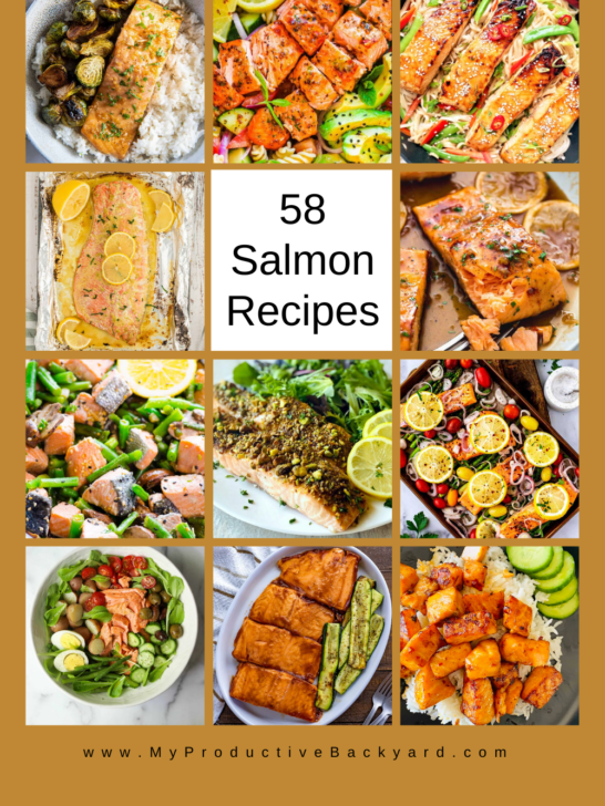 58 Salmon Recipes