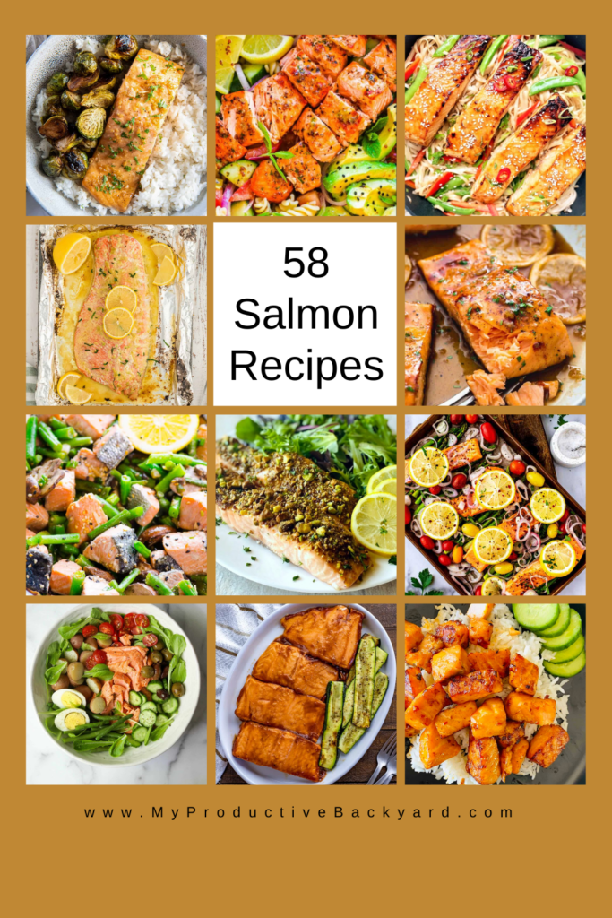 58 Salmon Recipes Pinterest Pin