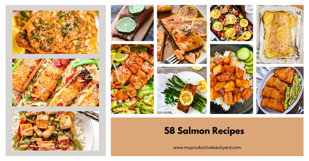 58 Salmon Recipes - My Productive Backyard