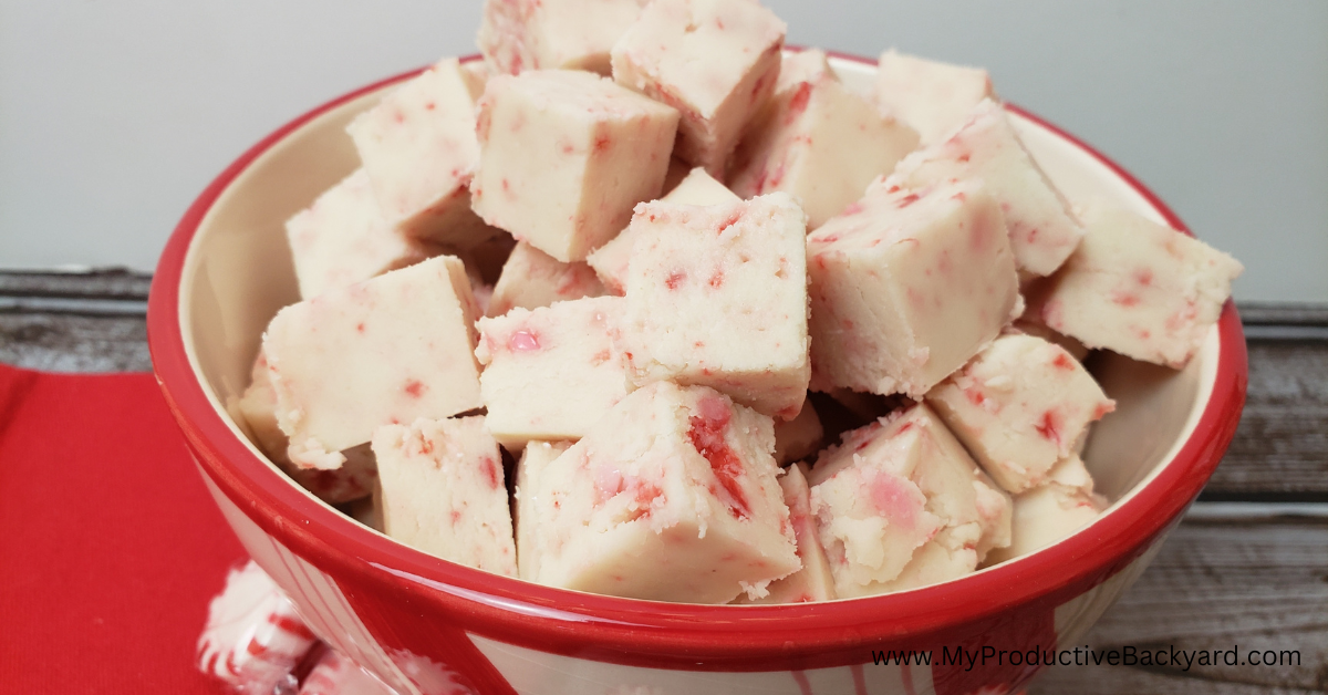 Easy Keto Peppermint Fudge