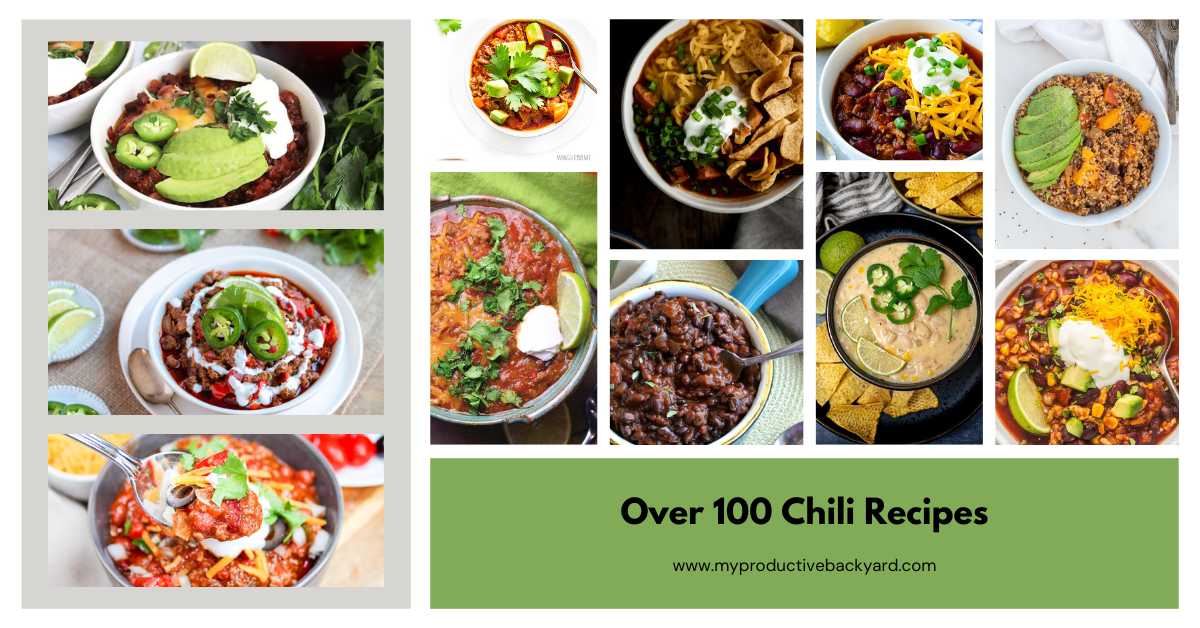 Over 100 Chili Recipes - My Productive Backyard