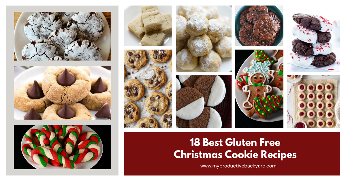 18 Best Gluten Free Christmas Cookie Recipes - My Productive Backyard