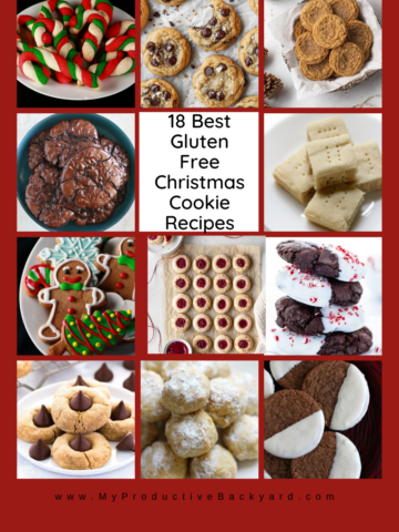 18 Best Gluten Free Christmas Cookie Recipes Pinterest Pin