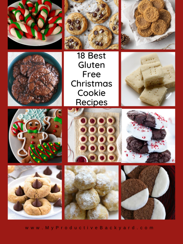 18 Best Gluten Free Christmas Cookie Recipes - My Productive Backyard
