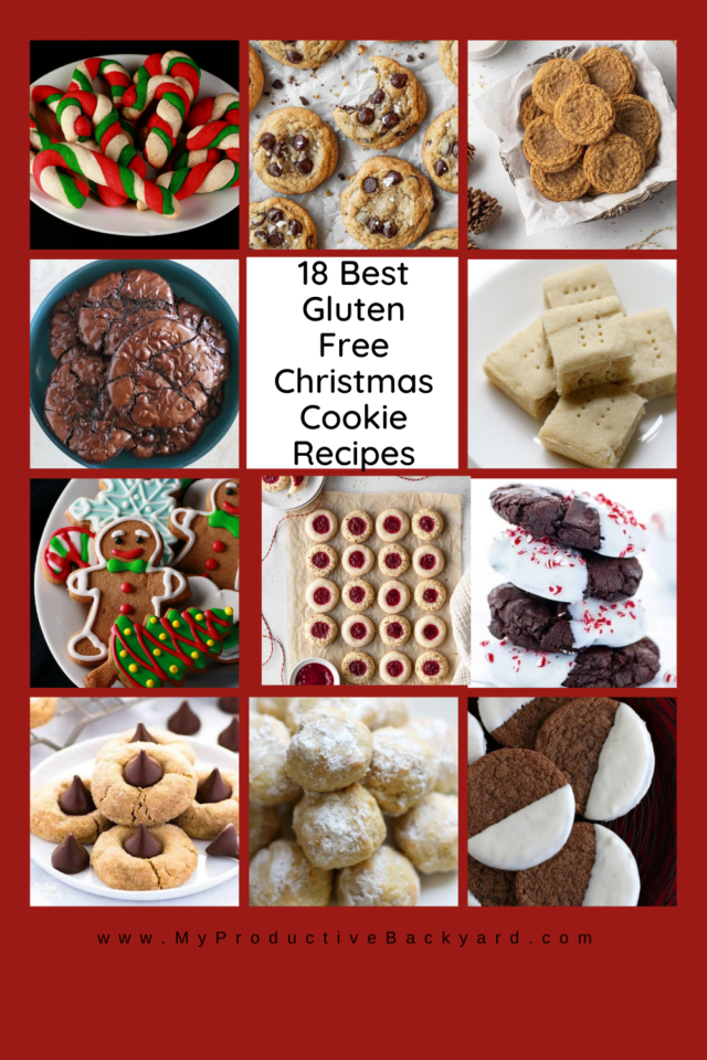 18 Best Gluten Free Christmas Cookie Recipes - My Productive Backyard