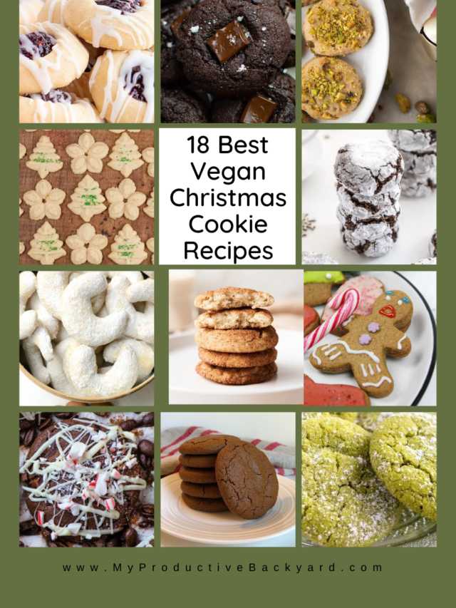 18 Best Vegan Christmas Cookie Recipes My Productive Backyard 1018