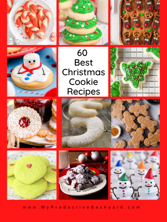 60 Best Christmas Cookie Recipes