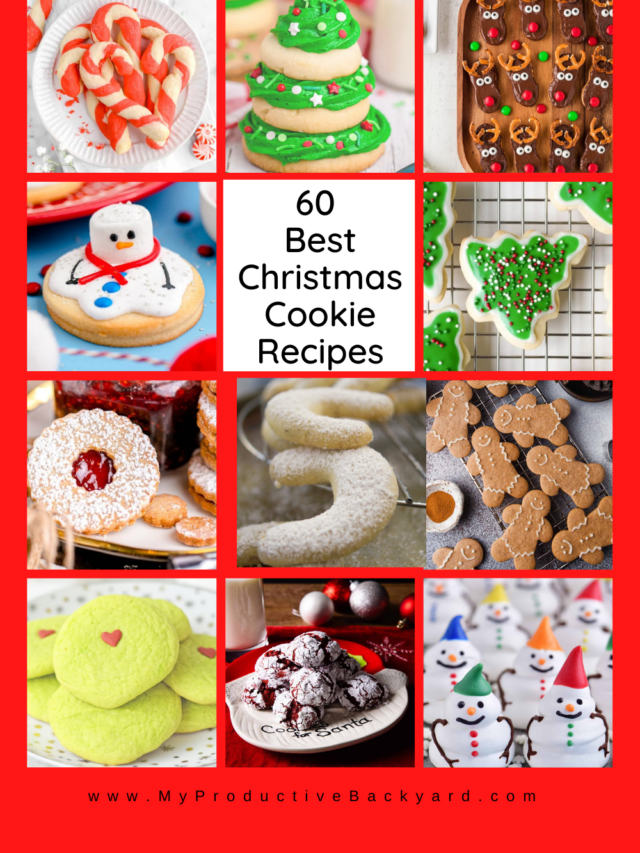 60 Best Christmas Cookie Recipes My Productive Backyard