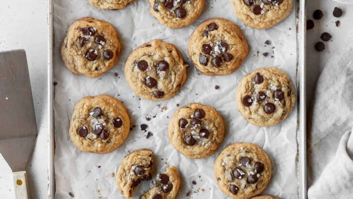 18 Best Gluten Free Christmas Cookie Recipes - My Productive Backyard