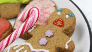 18 Best Vegan Christmas Cookie Recipes - My Productive Backyard