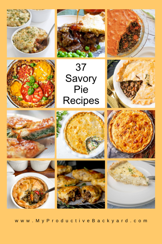 37 Savory Pie Recipes Pinterest Pin